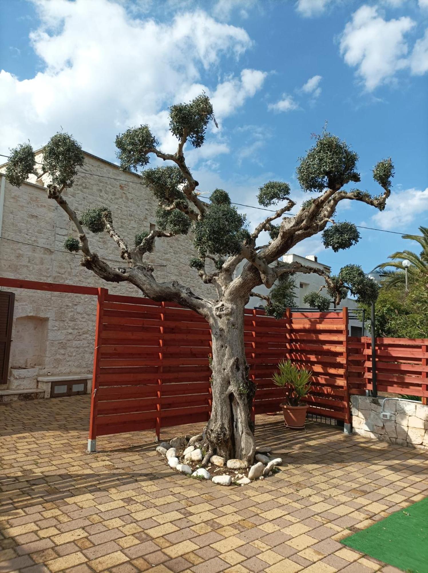Villa Casa Balice Monopoli Esterno foto
